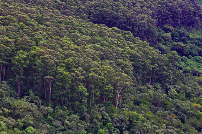 Zone Australe sur Antenne Réunion. <br>Inde du Sud: Région du Tamil Nadu Zone Australe sur Antenne Réunion. <br>Inde du Sud: Région du Tamil Nadu