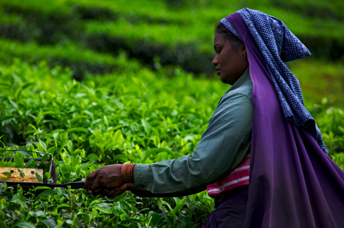 Zone Australe sur Antenne Réunion <br>Inde du Sud: Région du Kerala