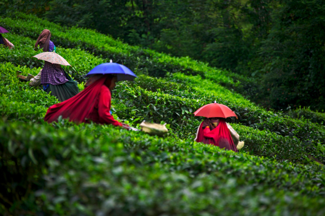 Zone Australe sur Antenne Réunion <br>Inde du Sud: Région du Kerala