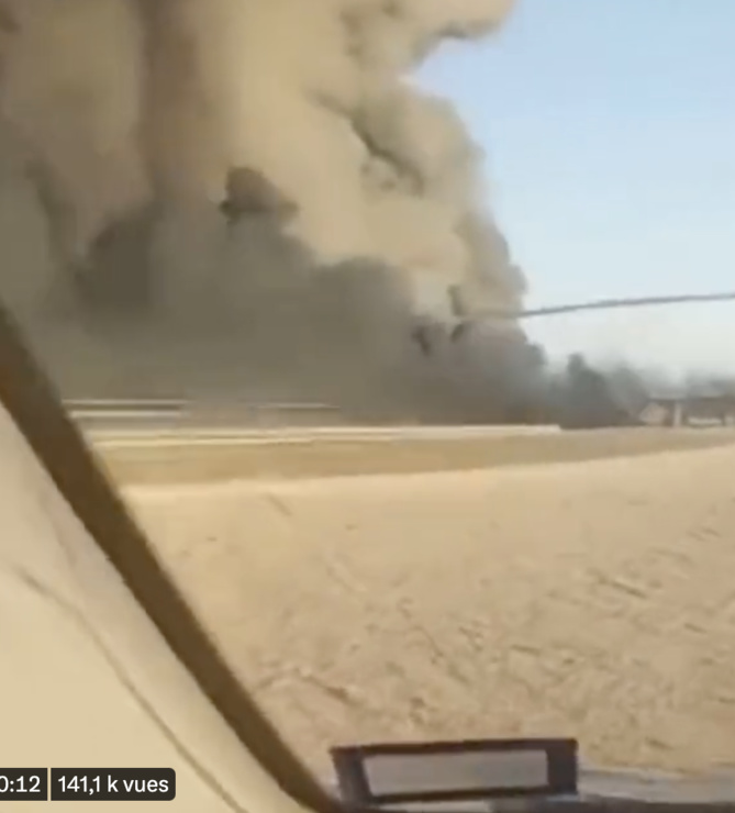 Catastrophe dans une ferme: 18 000 vaches tuées Catastrophe dans une ferme: 18 000 vaches tuées