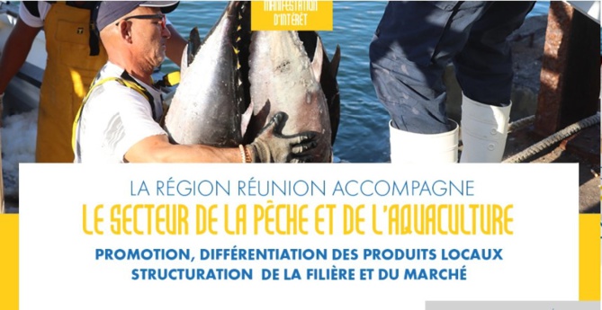 Appel à manifestation d'intérêt : La Région Réunion accompagne le secteur de la pêche et de l'aquaculture Appel à manifestation d'intérêt : La Région Réunion accompagne le secteur de la pêche et de l'aquaculture