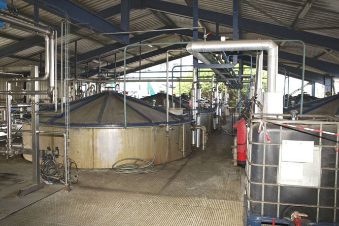 Savanna Millénium 1999 <br>La nouvelle star