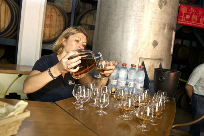 Savanna Millénium 1999 <br>La nouvelle star