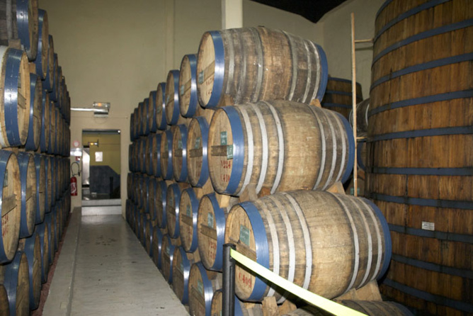 Savanna Millénium 1999 <br>La nouvelle star Savanna Millénium 1999 <br>La nouvelle star