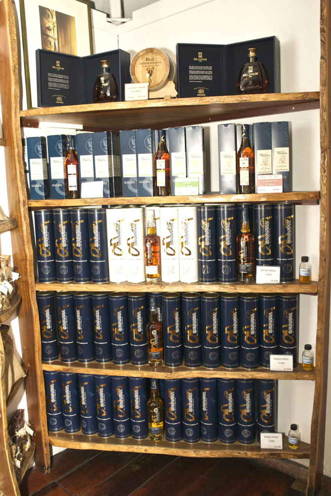 Savanna Millénium 1999 <br>La nouvelle star