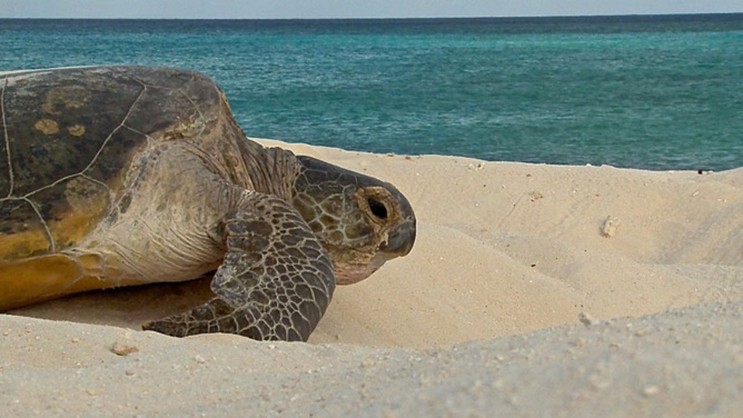 Zone Australe sur Antenne Réunion <br>Europa: 40 Ans d’Aventure Scientifique Zone Australe sur Antenne Réunion <br>Europa: 40 Ans d’Aventure Scientifique