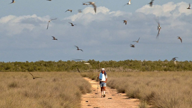 Zone Australe sur Antenne Réunion <br>Europa: 40 Ans d’Aventure Scientifique Zone Australe sur Antenne Réunion <br>Europa: 40 Ans d’Aventure Scientifique