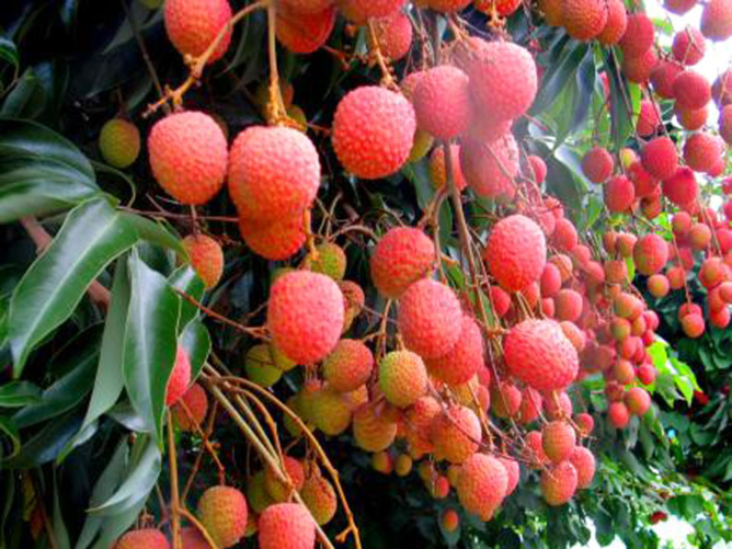 Joyeux Noël à tous...