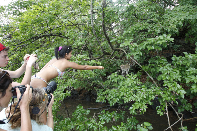 Miss Réunion savoure l'Ile Maurice Miss Réunion savoure l'Ile Maurice