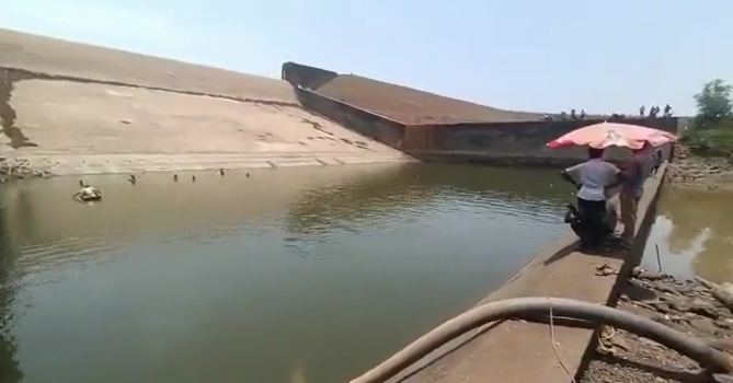 Image tirée de la vidéo de Ramandeep Singh Mann sur Twitter Image tirée de la vidéo de Ramandeep Singh Mann sur Twitter