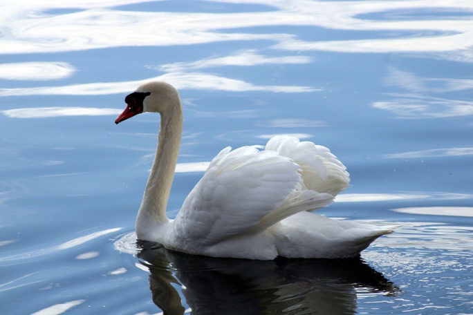 Photo d'illustration Pixabay Photo d'illustration Pixabay