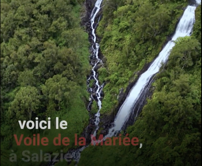 Capture Kult Media Capture Kult Media