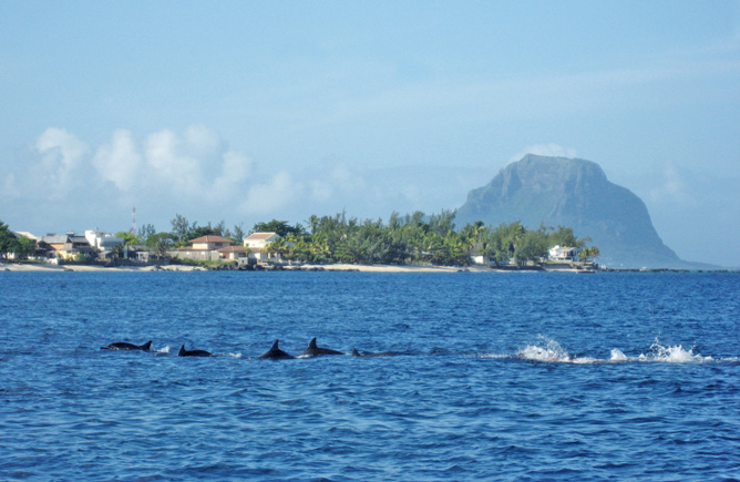 Plus d'un million de touristes <br>à Maurice! Plus d'un million de touristes <br>à Maurice!
