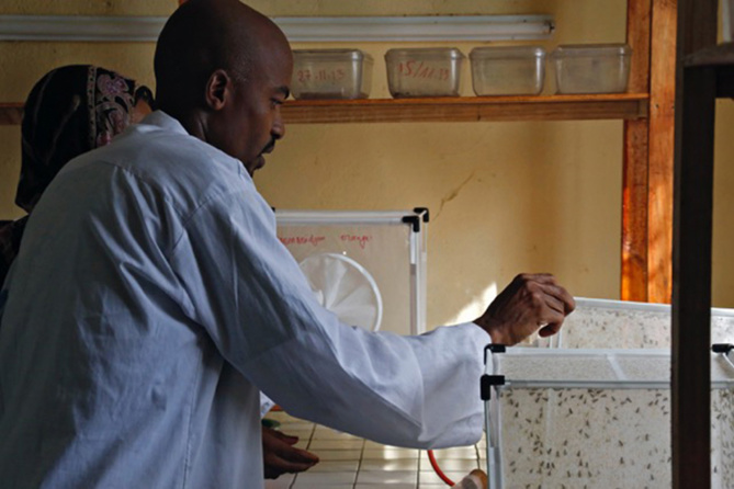 Zone Australe sur Antenne Réunion <br>Comores: Recherche Universitaire Zone Australe sur Antenne Réunion <br>Comores: Recherche Universitaire