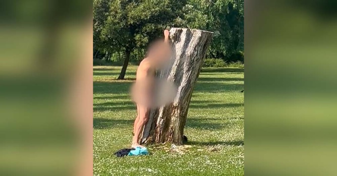 Un Britannique arrêté après un acte érotique insolite avec un arbre Un Britannique arrêté après un acte érotique insolite avec un arbre