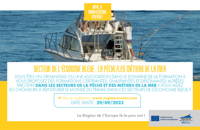 AMI - Professionnalisation et qualification des chômeurs dans le secteur de l’économie bleue : la pêche/les métiers de la mer AMI - Professionnalisation et qualification des chômeurs dans le secteur de l’économie bleue : la pêche/les métiers de la mer