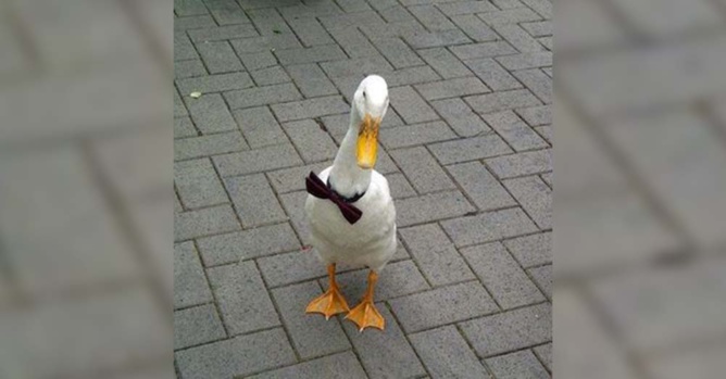 Star Hayman sur Facebook Star Hayman sur Facebook