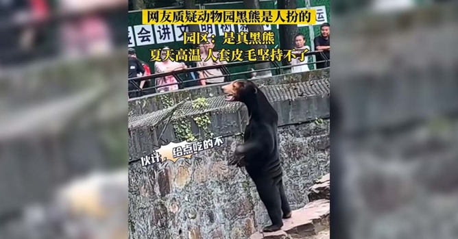 Capture issue de la vidéo virale sur Twitter Capture issue de la vidéo virale sur Twitter