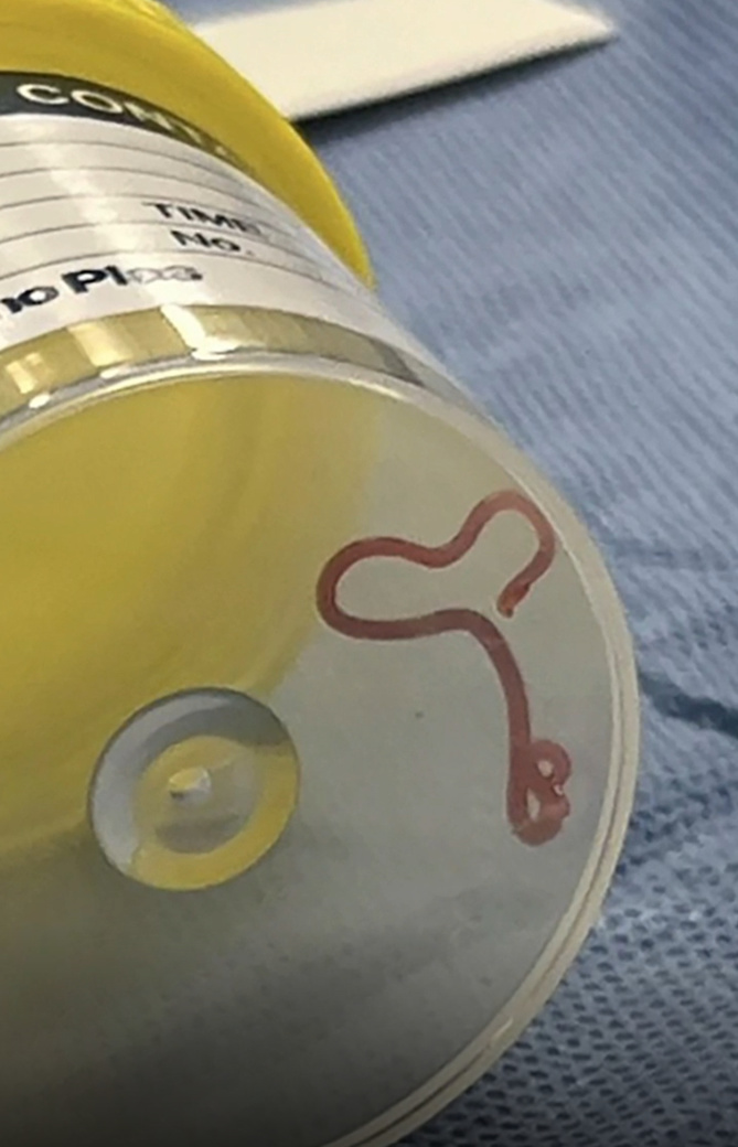 Image Sky News Image Sky News