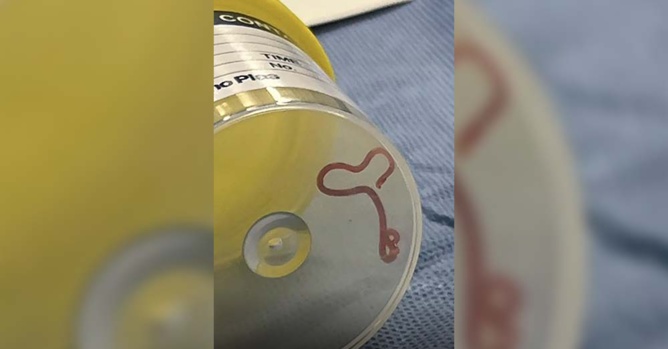 Image Sky News Image Sky News