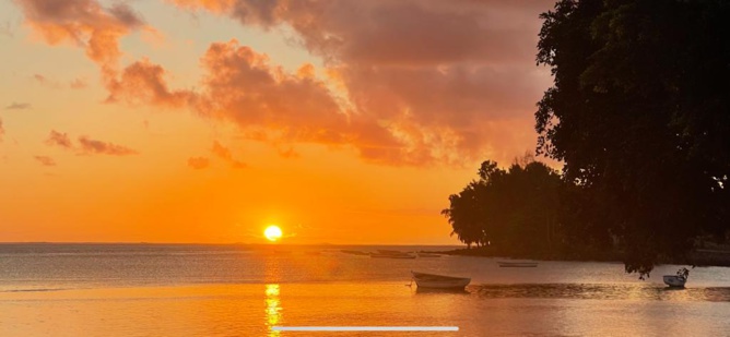 Photos : DeeDee Photos : DeeDee