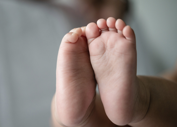 Crédit photo: Image de jcomp sur Freepik Crédit photo: Image de jcomp sur Freepik