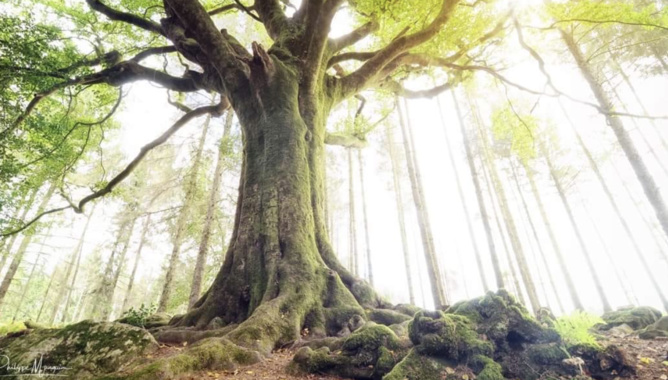 Capture Facebook Philippe Manguin Photographies Capture Facebook Philippe Manguin Photographies