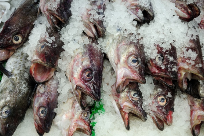 Macabre découverte dans une machine à glace sur un marché aux poissons