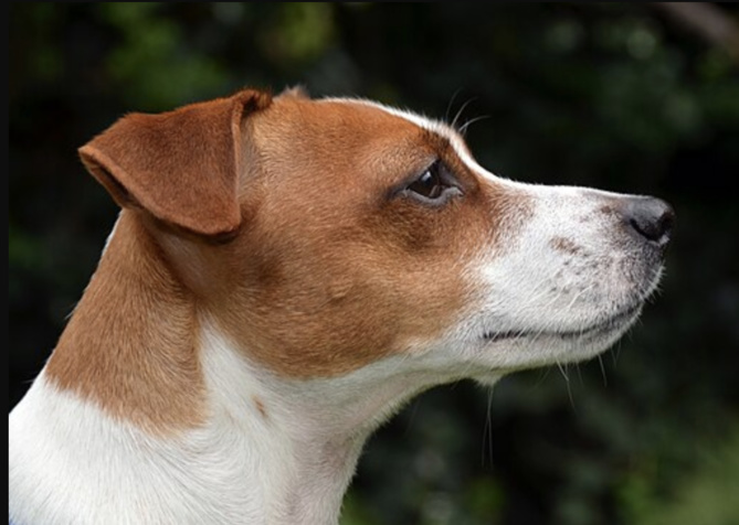 Photo d'illustration Photo d'illustration