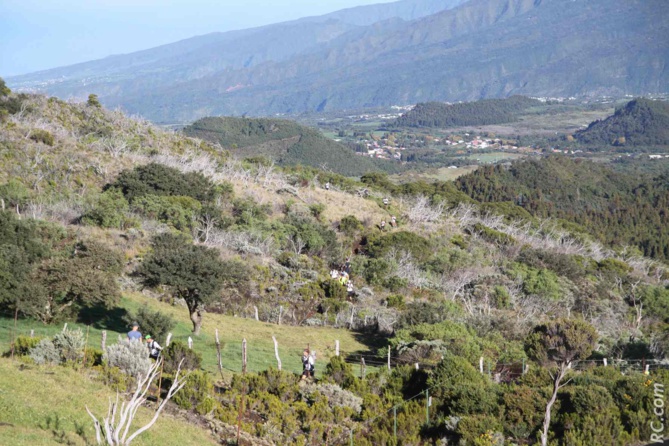 De magnifiques paysages sur les hauteurs cafriplainoises… De magnifiques paysages sur les hauteurs cafriplainoises…