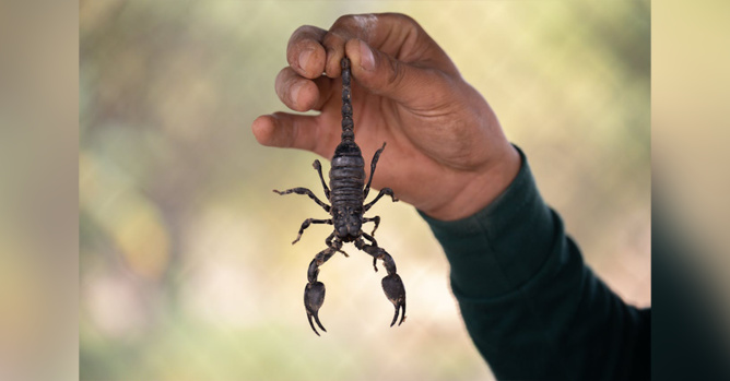 Image d'illustration Pexels Image d'illustration Pexels