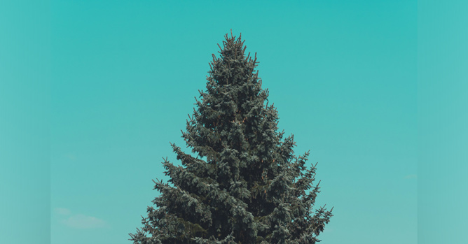 Image d'ilustration Unsplash Image d'ilustration Unsplash