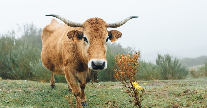 Image d'illustration Pexels