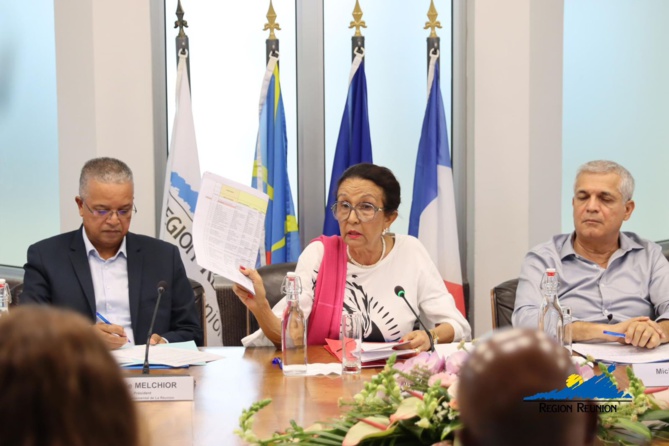 Défendre l’Octroi de mer, défendre les intérêts des outre-mer Défendre l’Octroi de mer, défendre les intérêts des outre-mer