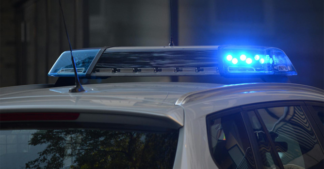 Image Pexels Image Pexels