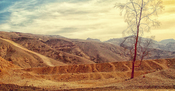 Image Pexels Image Pexels