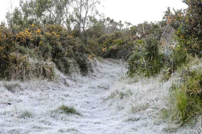 De la "neige" à la Plaine des Cafres? De la "neige" à la Plaine des Cafres?