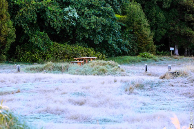 De la "neige" à la Plaine des Cafres? De la "neige" à la Plaine des Cafres?