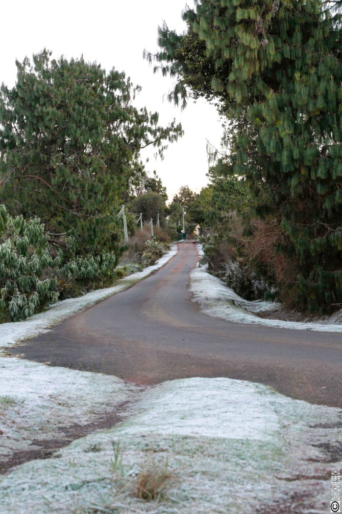 De la "neige" à la Plaine des Cafres? De la "neige" à la Plaine des Cafres?