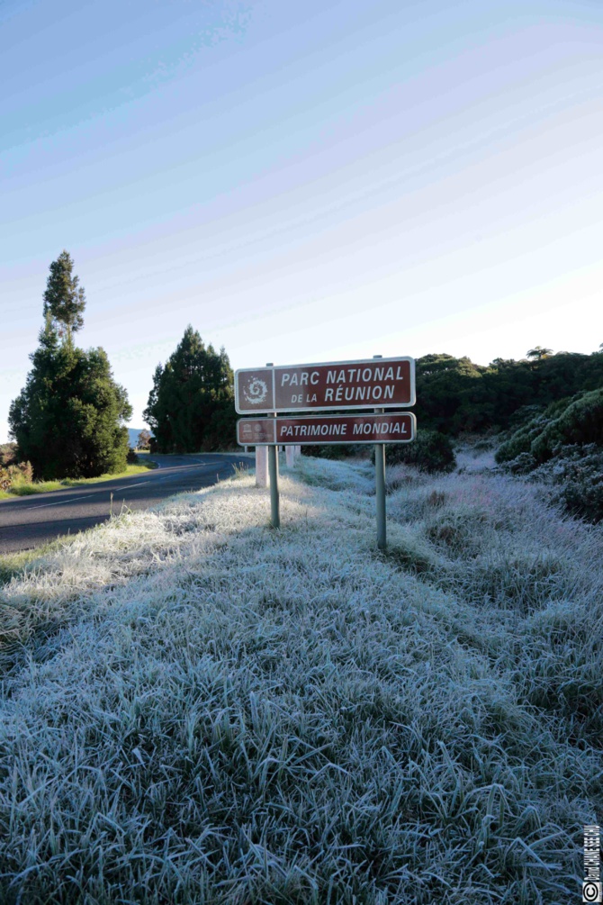 De la "neige" à la Plaine des Cafres? De la "neige" à la Plaine des Cafres?