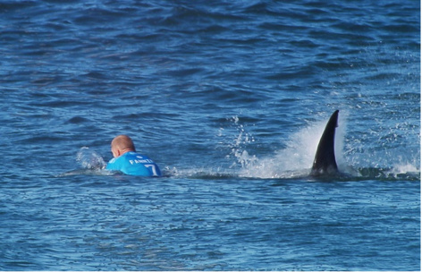 Attaque de requin en pleine compétition de surf