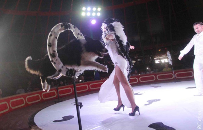 Le Cirque Raluy: magique!