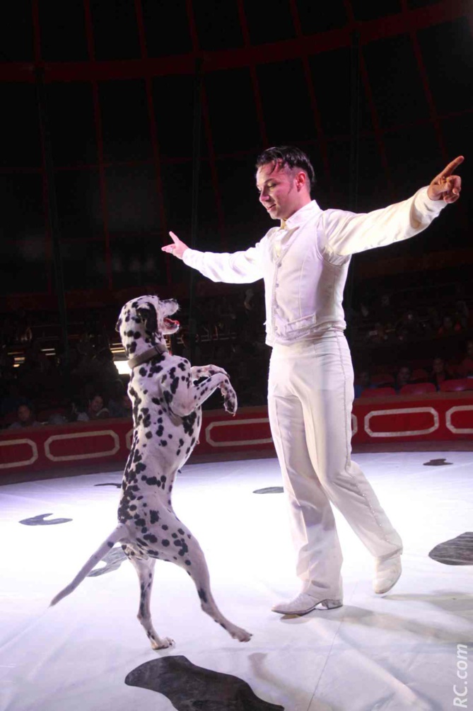 Cruella en compagnie des 101 Damaltiens de David Busnelli