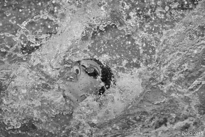 Les Jeux continuent...<br>Des images à conserver!