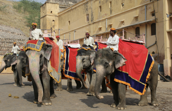 Photo d'illustration Pexels Photo d'illustration Pexels