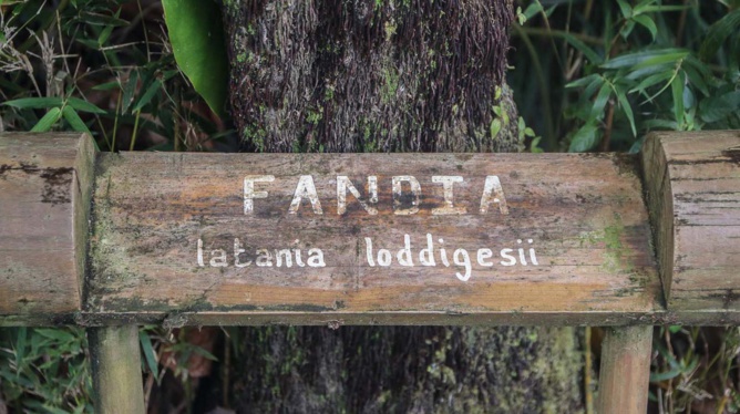 Le domaine des Aubineaux: un saut dans le passé... Le domaine des Aubineaux: un saut dans le passé...