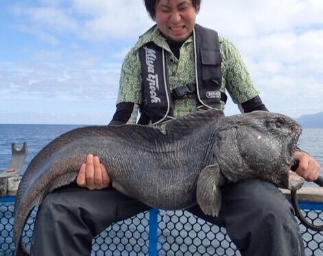 Un poisson effrayant pêché au large de Fukushima