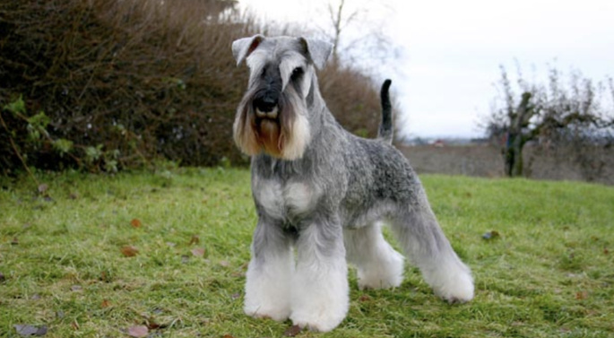 Photo d'illustration Photo d'illustration