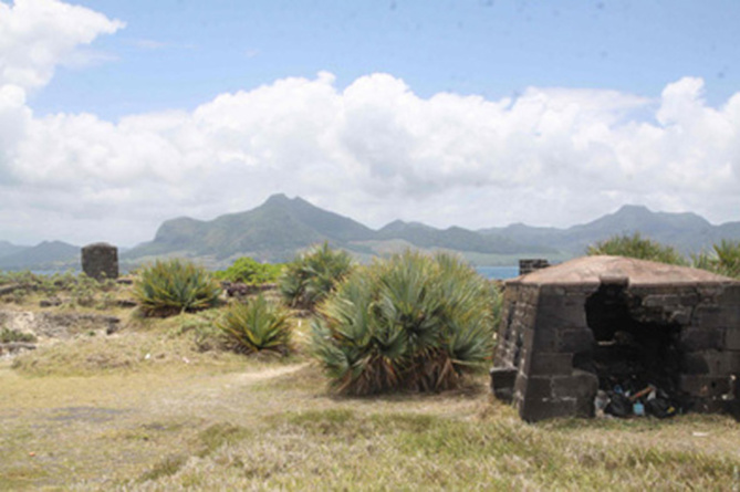 Peu à peu la végétation a repris ses droits Peu à peu la végétation a repris ses droits