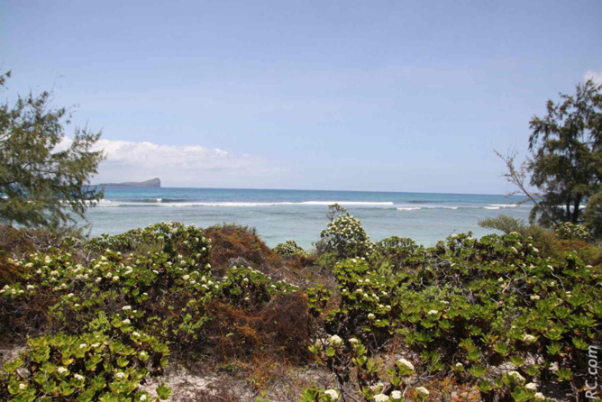 De l'îlot Gabriel, on peut apercevoir au loin le Coin de Mire De l'îlot Gabriel, on peut apercevoir au loin le Coin de Mire